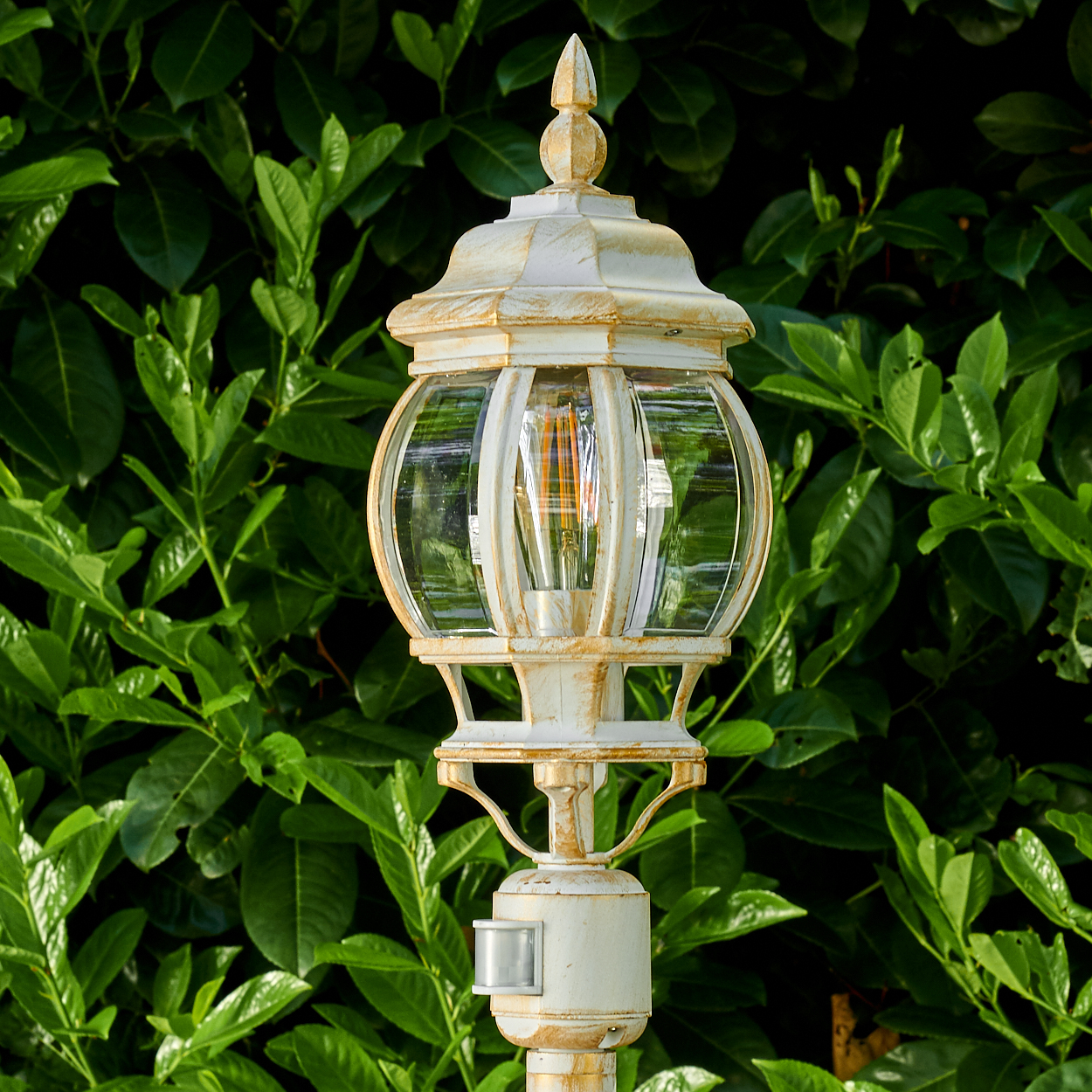 Eine weiße und goldene Außenlampe. Sie hat einen Glaskolben mit einer Glühbirne. Dahinter ist ein grüner Busch.