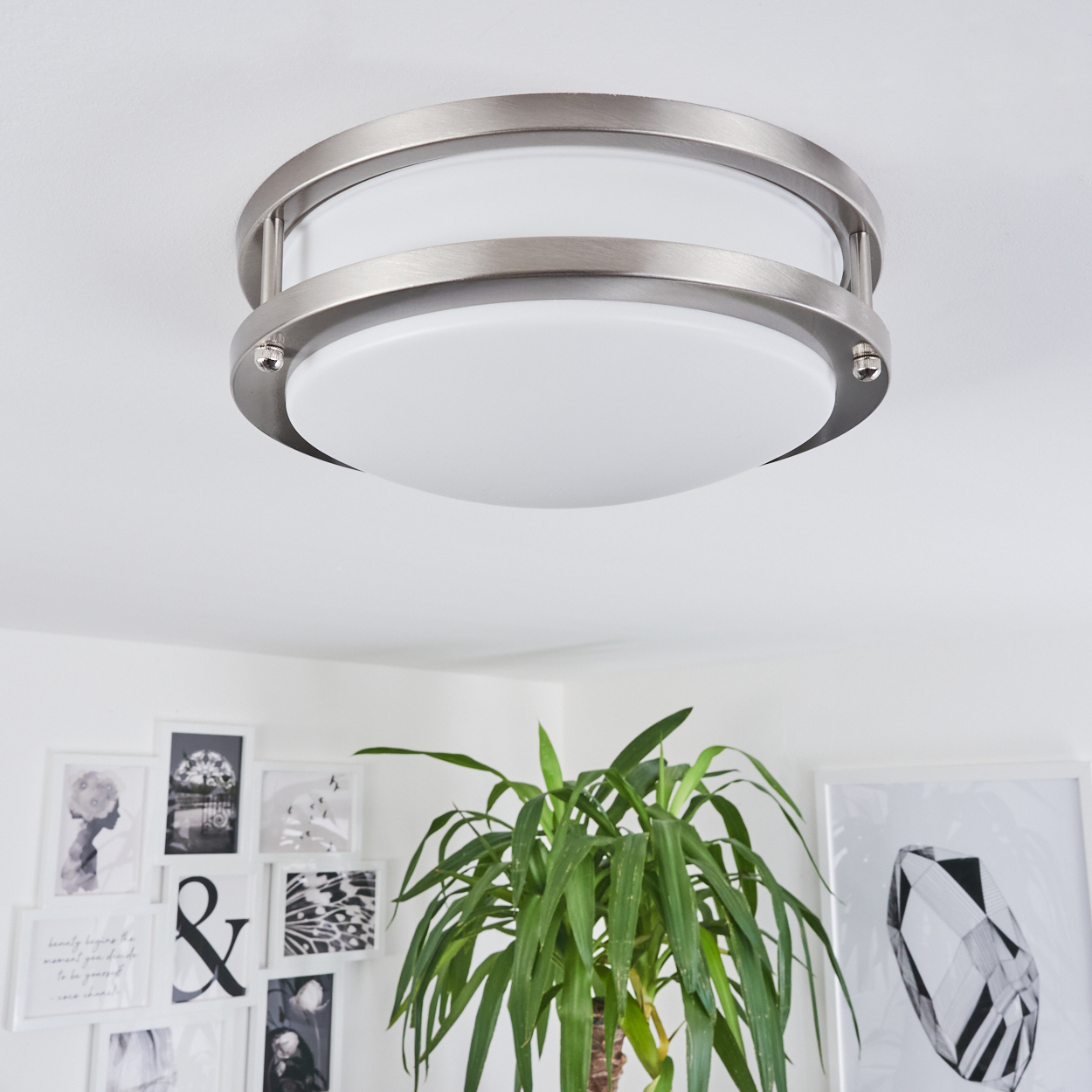 Eine Deckenlampe mit silbernem Rahmen und weißem Lichtdiffusor. Darunter eine Pflanze und gerahmte Kunstwerke an einer weißen Wand.