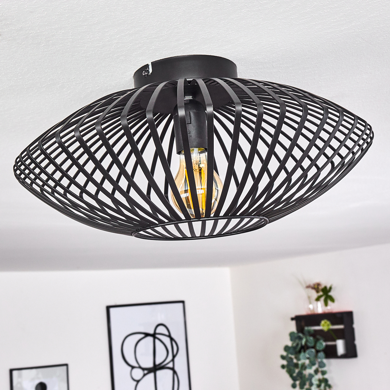 Schwarze, käfigartige Deckenlampe mit sichtbarer Glühbirne. Im Hintergrund sind gerahmte Kunst und ein Regal mit Pflanzen zu sehen.
