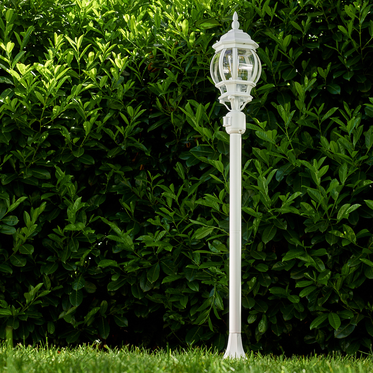 Eine weiße Laterne steht auf grünem Gras, eine dichte grüne Hecke im Hintergrund. Die Lampe hat eine dekorative Spitze.