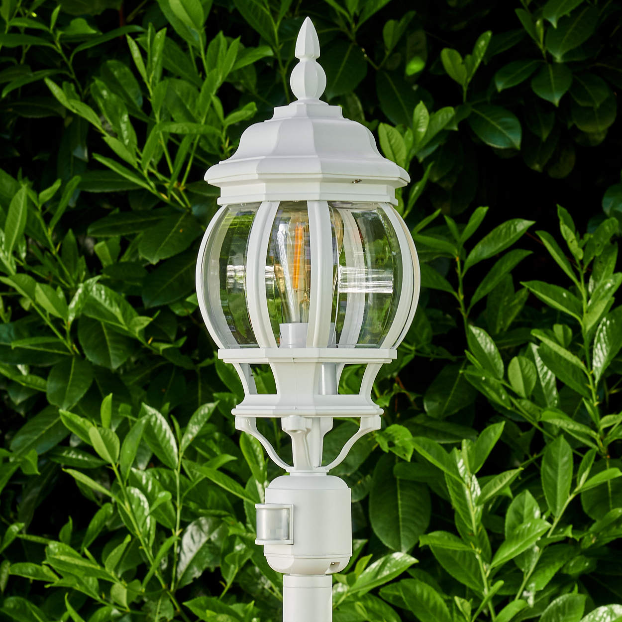 Eine weiße Außenlampe mit Glaskugel und freiliegender Glühbirne vor dichtem, grünen Laub.