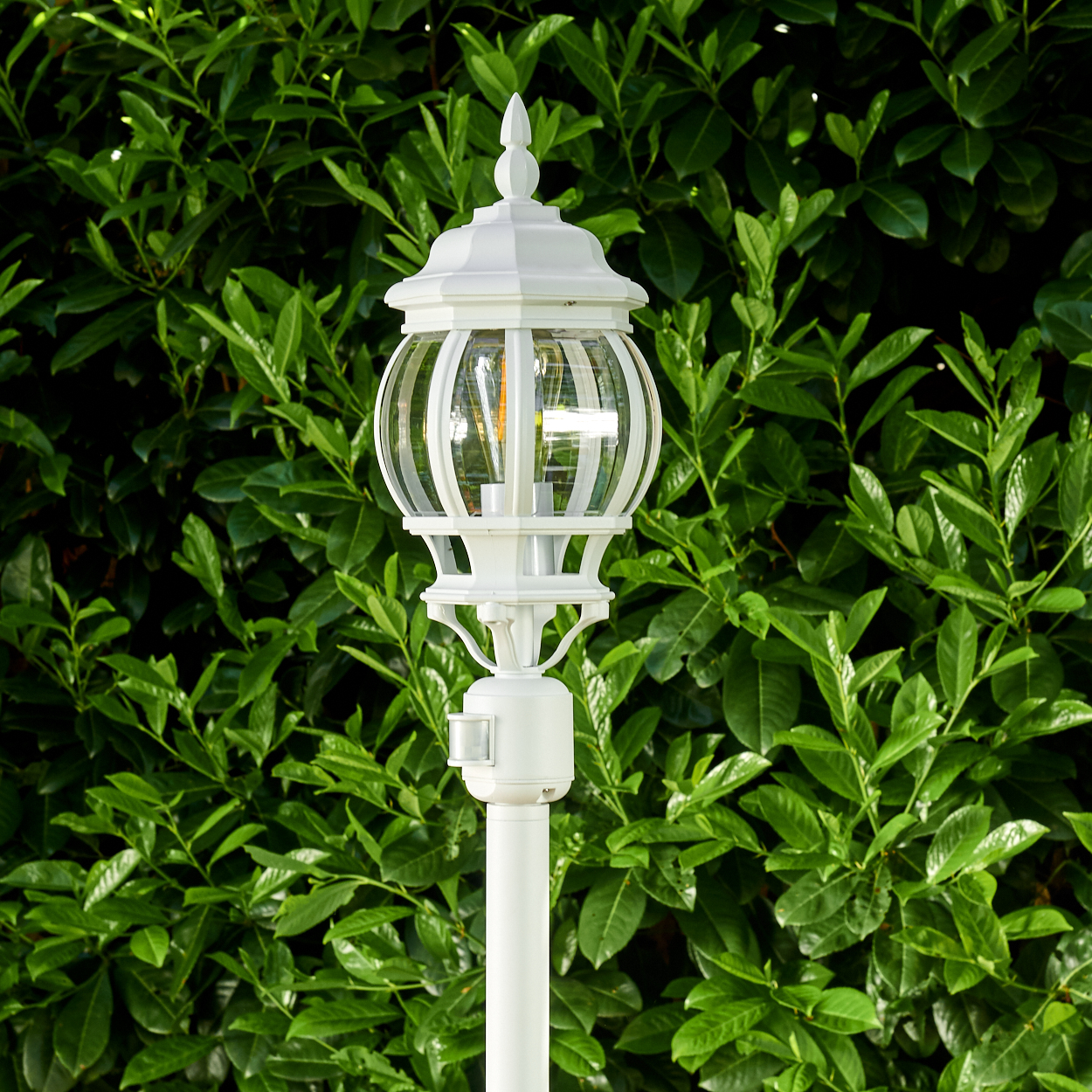 Eine weiße Außenlampe mit Glaskugel vor dichtem, grünen Laub.
