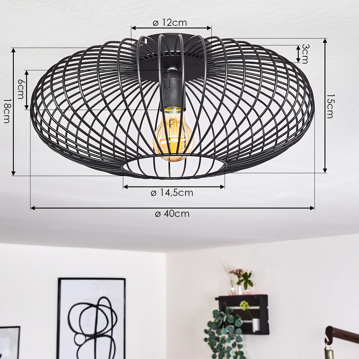 Schwarze Metallkäfig-Deckenlampe mit Maßen. Sie hat eine Glühbirne im Inneren. Der Hintergrund hat ein Gemälde und Pflanzen.