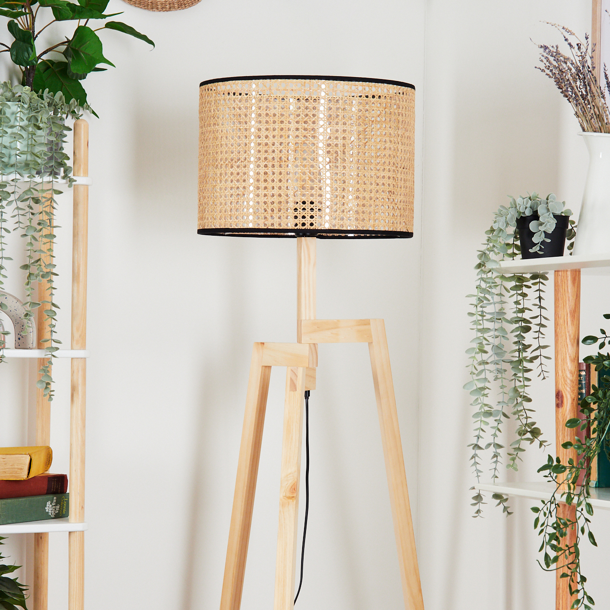 Eine hölzerne Stehlampe mit gewebtem Lampenschirm steht im Mittelpunkt. Regale mit Pflanzen und Büchern sind beidseitig vorhanden.