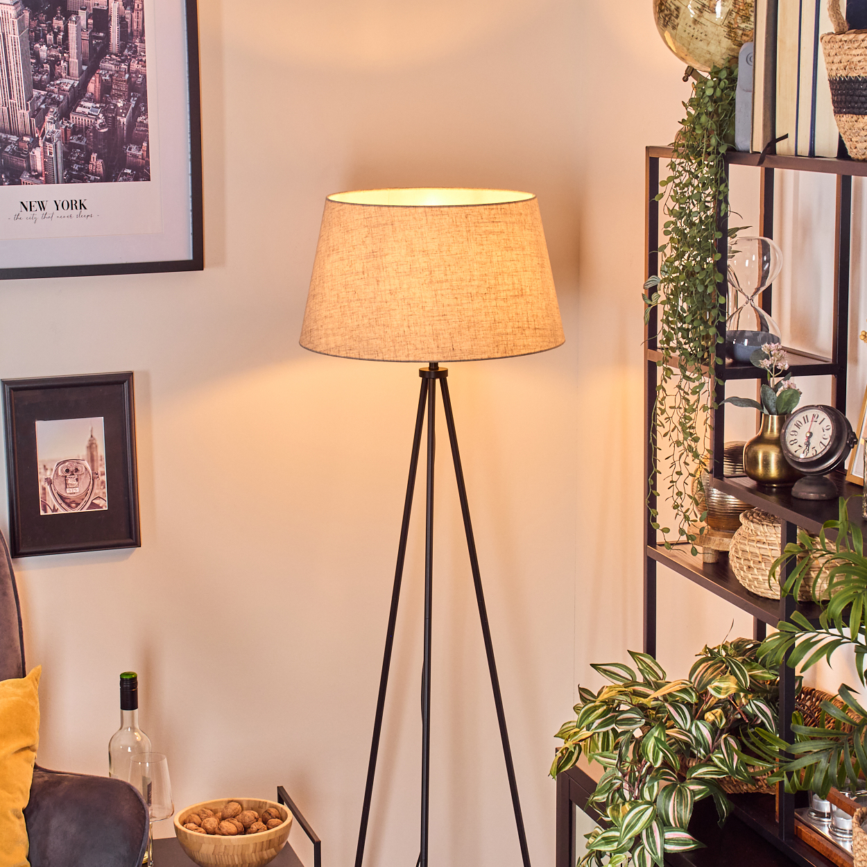 Eine Stehlampe steht in einem Raum. Rechts ein Regal mit Pflanzen und Dekoration. An der Wand ein gerahmtes Bild von New York.