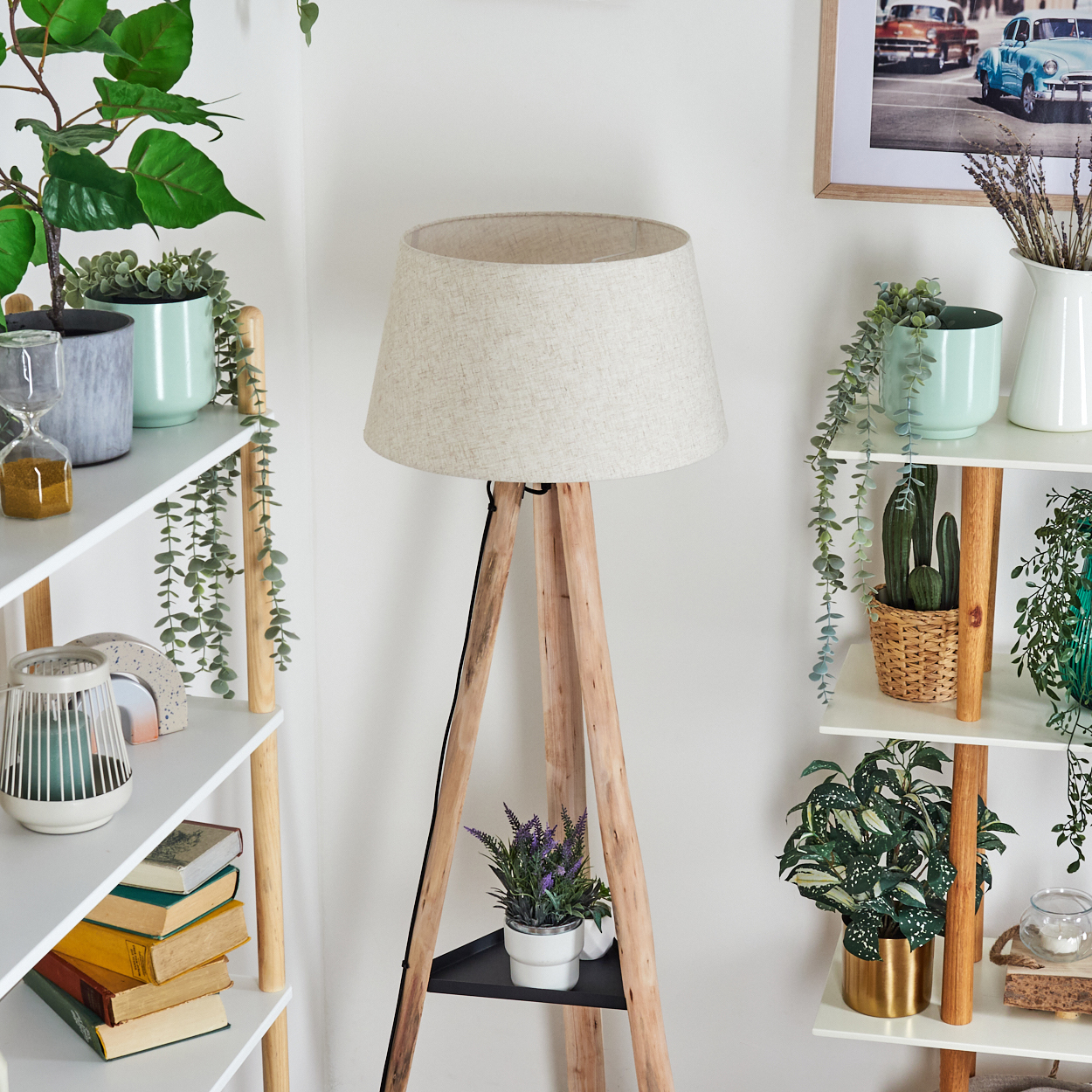 Ein Rauminnenraum mit einer Holzlampe, Regalen mit Pflanzen, Büchern und Dekorationsartikeln sowie einem gerahmten Bild an der Wand.