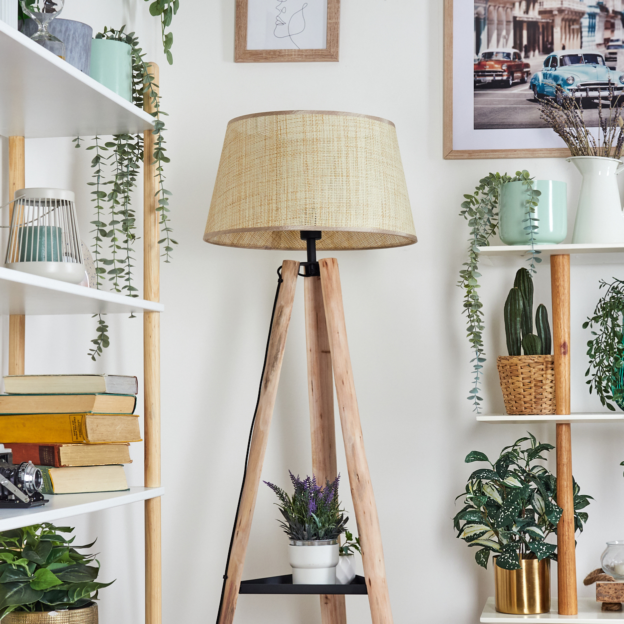 Ein Rauminnenraum mit einer hölzernen Stativlampe, Regalen mit Pflanzen, Büchern und einem gerahmten Bild von Autos.