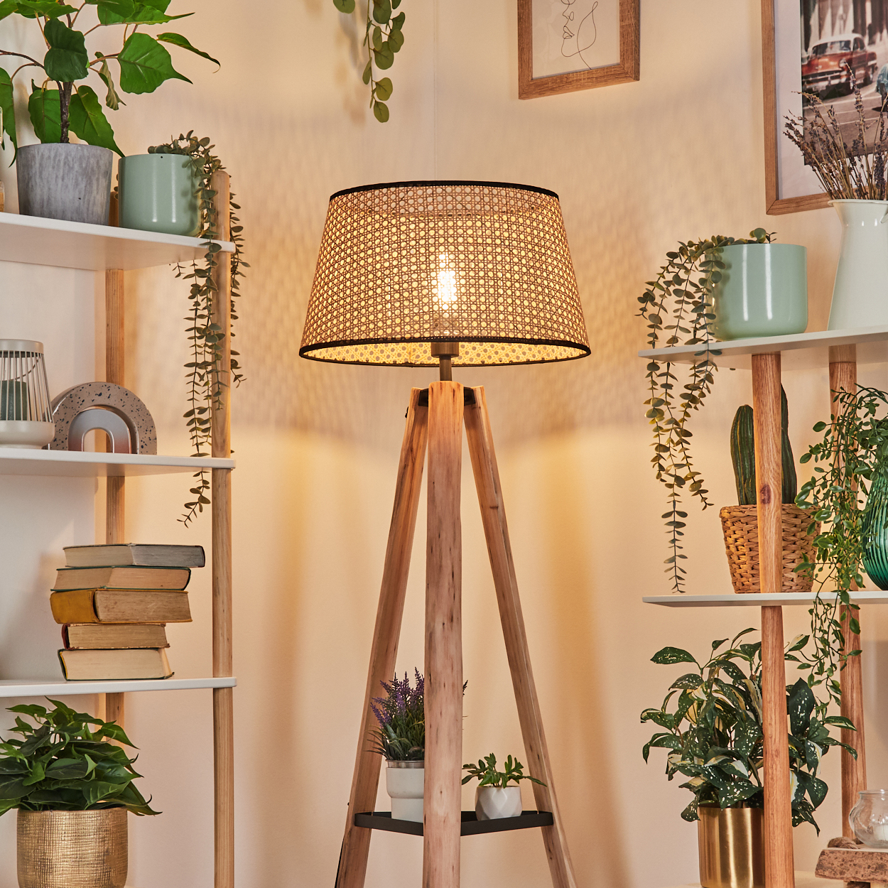 Eine hölzerne Stehlampe mit gewebtem Lampenschirm ist von Regalen mit Pflanzen und Dekorationen umgeben.