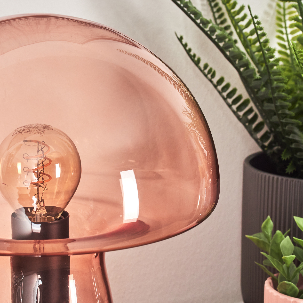 Eine rosa Lampe mit sichtbarer Glühbirne befindet sich im Vordergrund. Eine grüne Pflanze in einem grauen Topf befindet sich im Hintergrund.