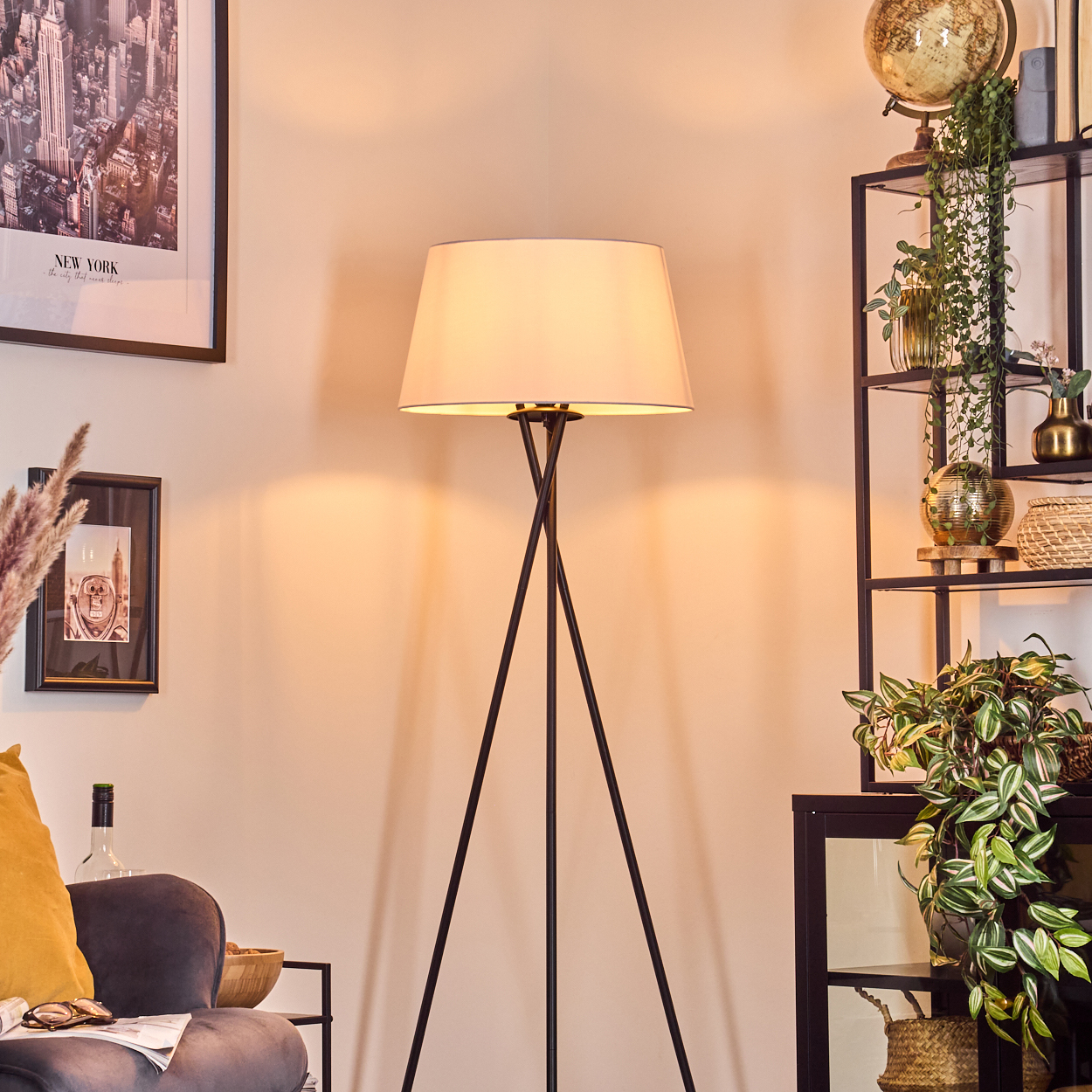 Ein Raum mit Lampe, Regalen mit Pflanzen, New York-Bild, Couch und Globus.