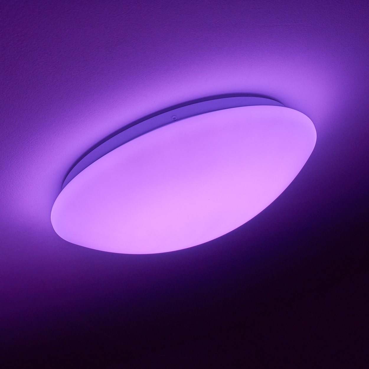 Ovale Deckenleuchte, die violettes Licht aussendet. Die Leuchte ist an einer weißen Decke montiert. Der Hintergrund ist dunkelviolett.