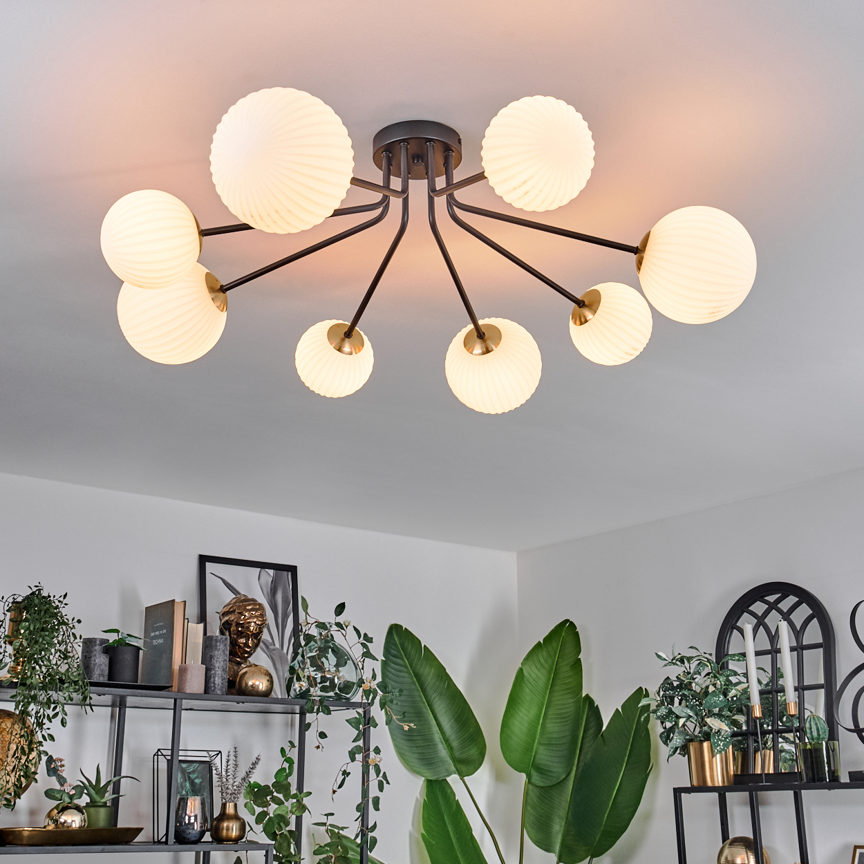 Deckenleuchte mit mehreren kugelförmigen Lichtern. Pflanzen und Regale mit Dekor im Vordergrund. Weiße Decke und Wände.