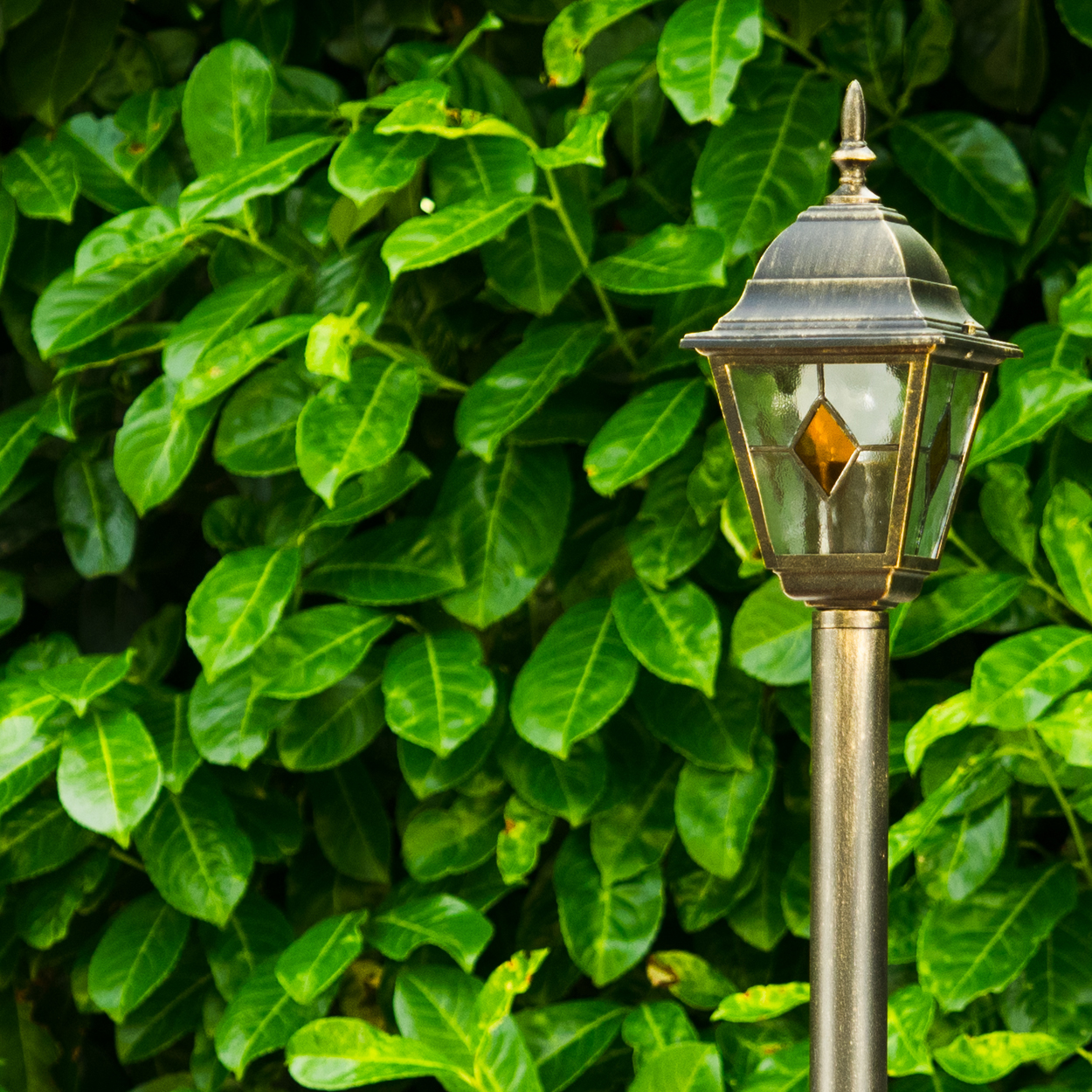 Eine dekorative Laterne steht vor einem dichten Hintergrund aus grünen Blättern. Die Lampe hat einen antiken Stil und ein Glaspaneel.