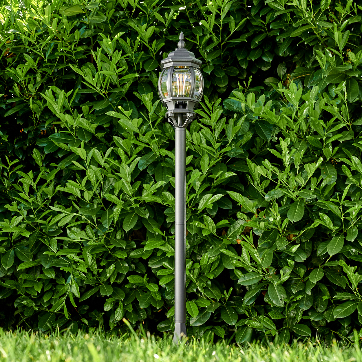 Eine graue Straßenlaterne mit einer kugelförmigen Lampe steht vor einer dichten, grünen Hecke. Grünes Gras ist im Vordergrund.