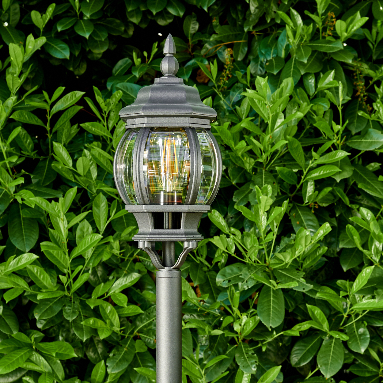 Eine graue Metalllaterne mit Glaskugel, von innen beleuchtet, steht vor einer dichten, grünen Hecke.