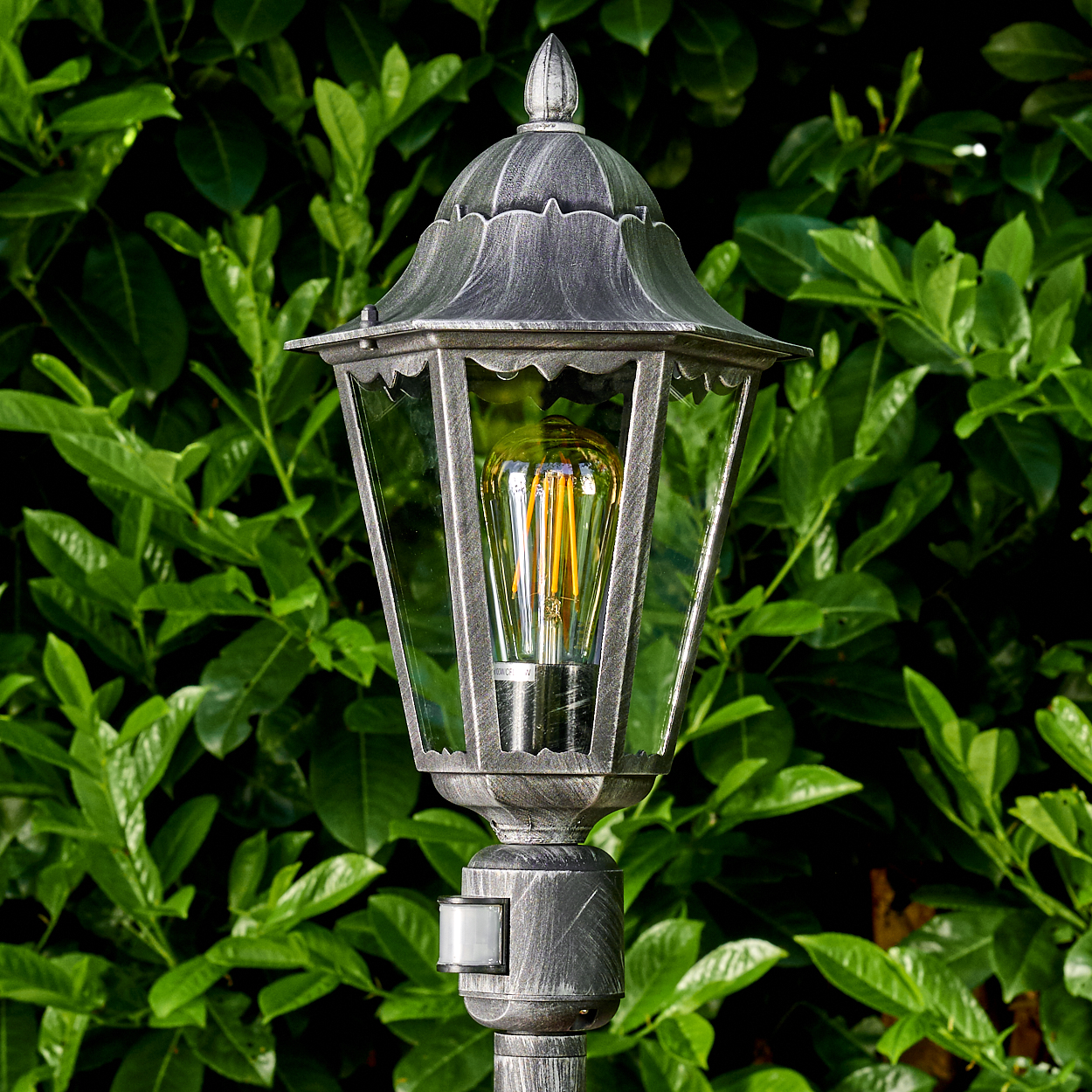 Eine dekorative Außenlampe mit einer Glühbirne im Vintage-Stil. Die Lampe ist silberfarben und vor einem Hintergrund aus grünen Blättern.