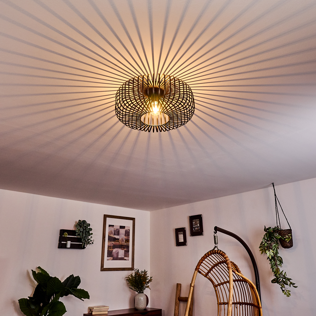 Eine schwarze, kreisförmige Deckenlampe wirft radiale Schatten. Darunter ein Raum mit Hängekorb, Pflanzen und gerahmter Kunst.