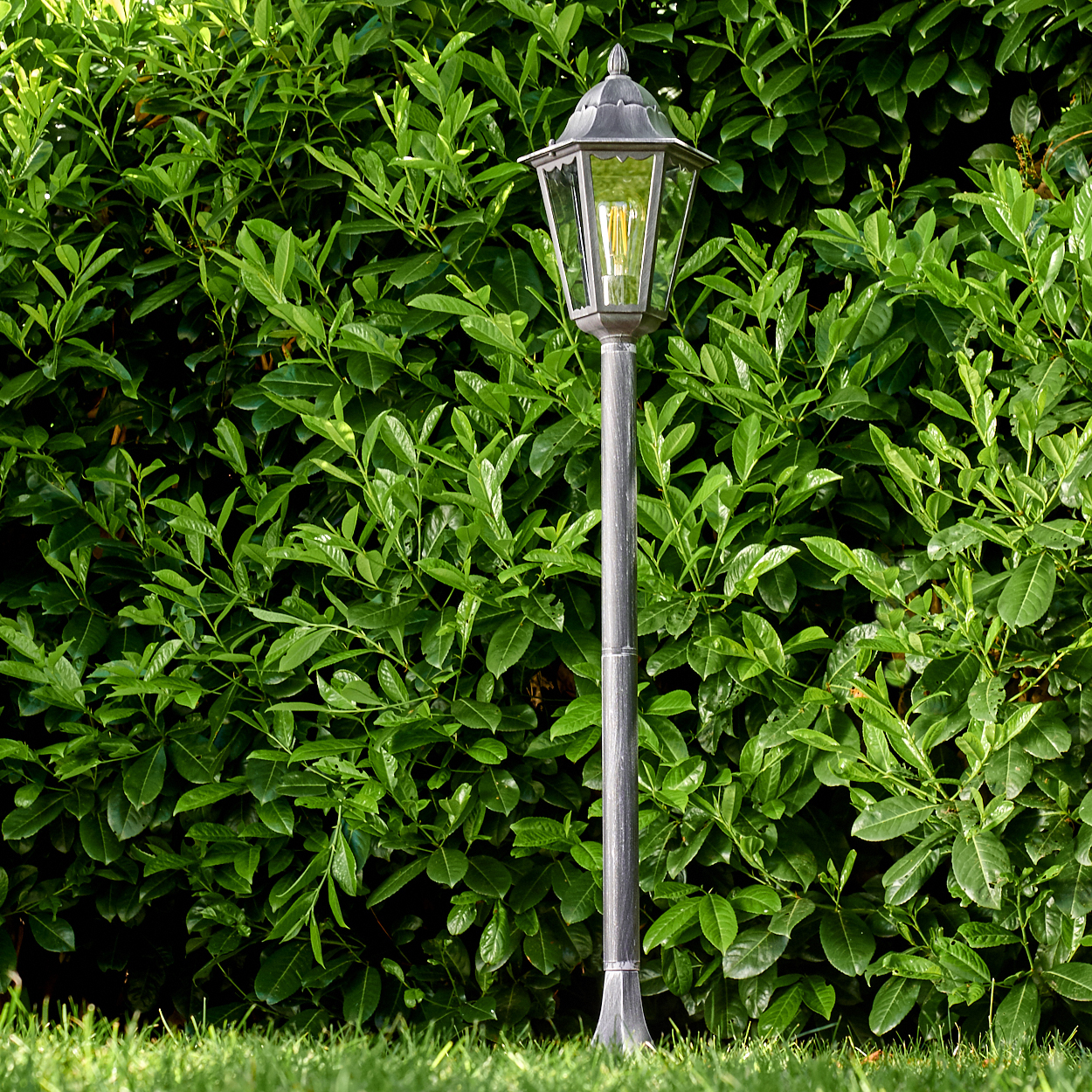 Eine graue Straßenlaterne steht vor einer dichten grünen Hecke, mit grünem Gras im Vordergrund. Die Lampe ist beleuchtet.