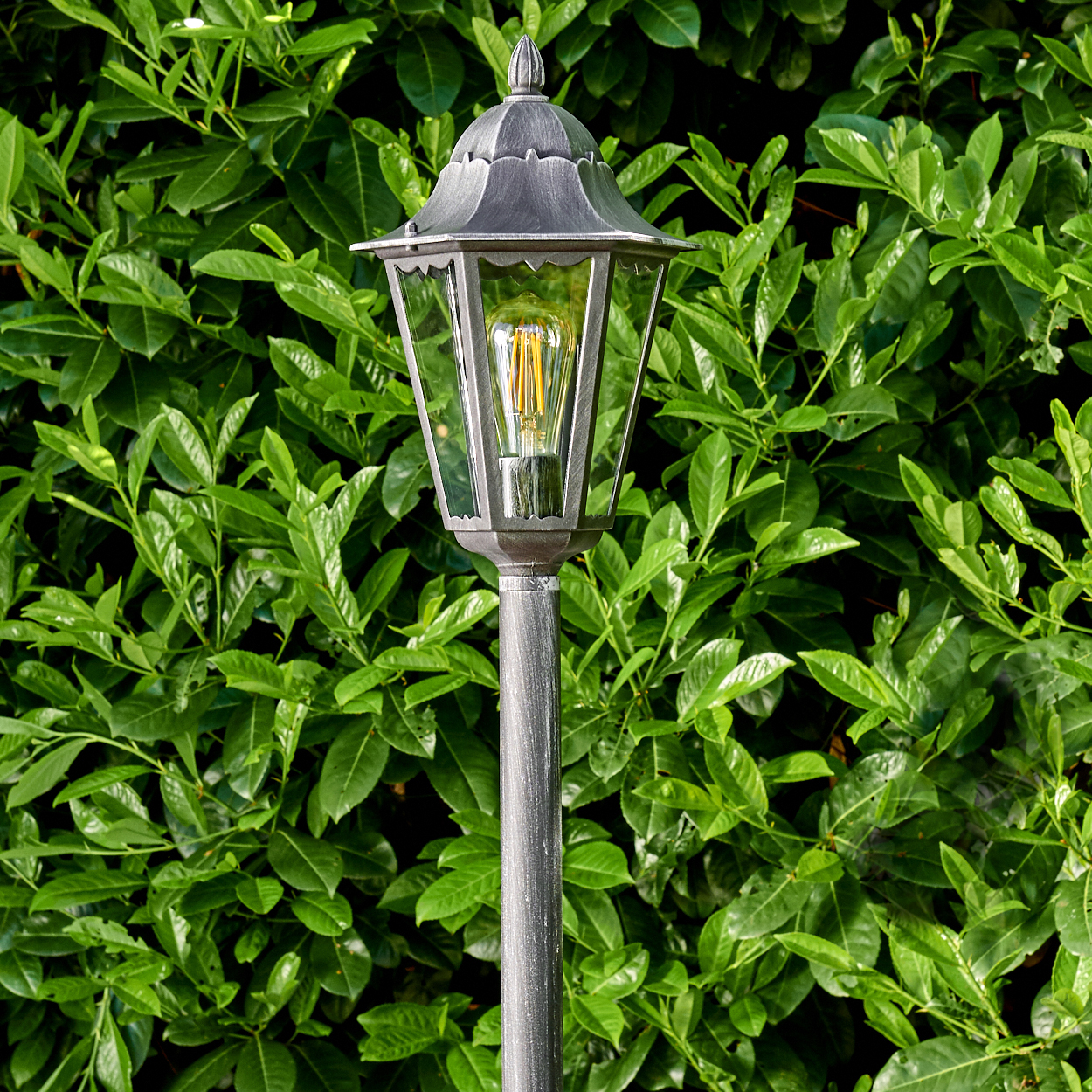 Ein grauer Metalllampenpfahl mit klarem Glasgehäuse steht vor einem leuchtend grünen, belaubten Hintergrund.