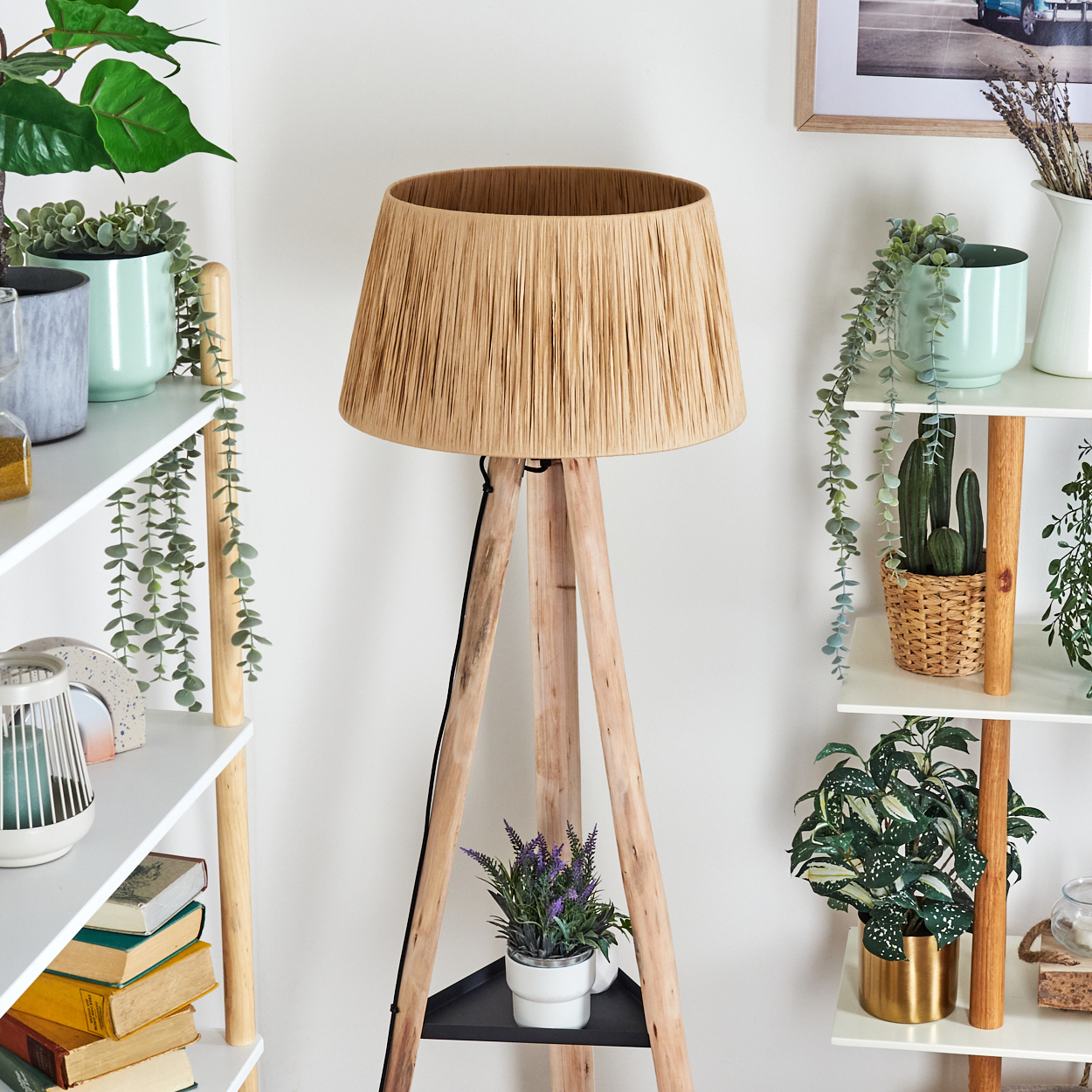 Eine hölzerne Stehlampe mit Web-Lampenschirm. Regale mit Pflanzen und Büchern auf beiden Seiten. Ein Bilderrahmen hängt an der Wand.