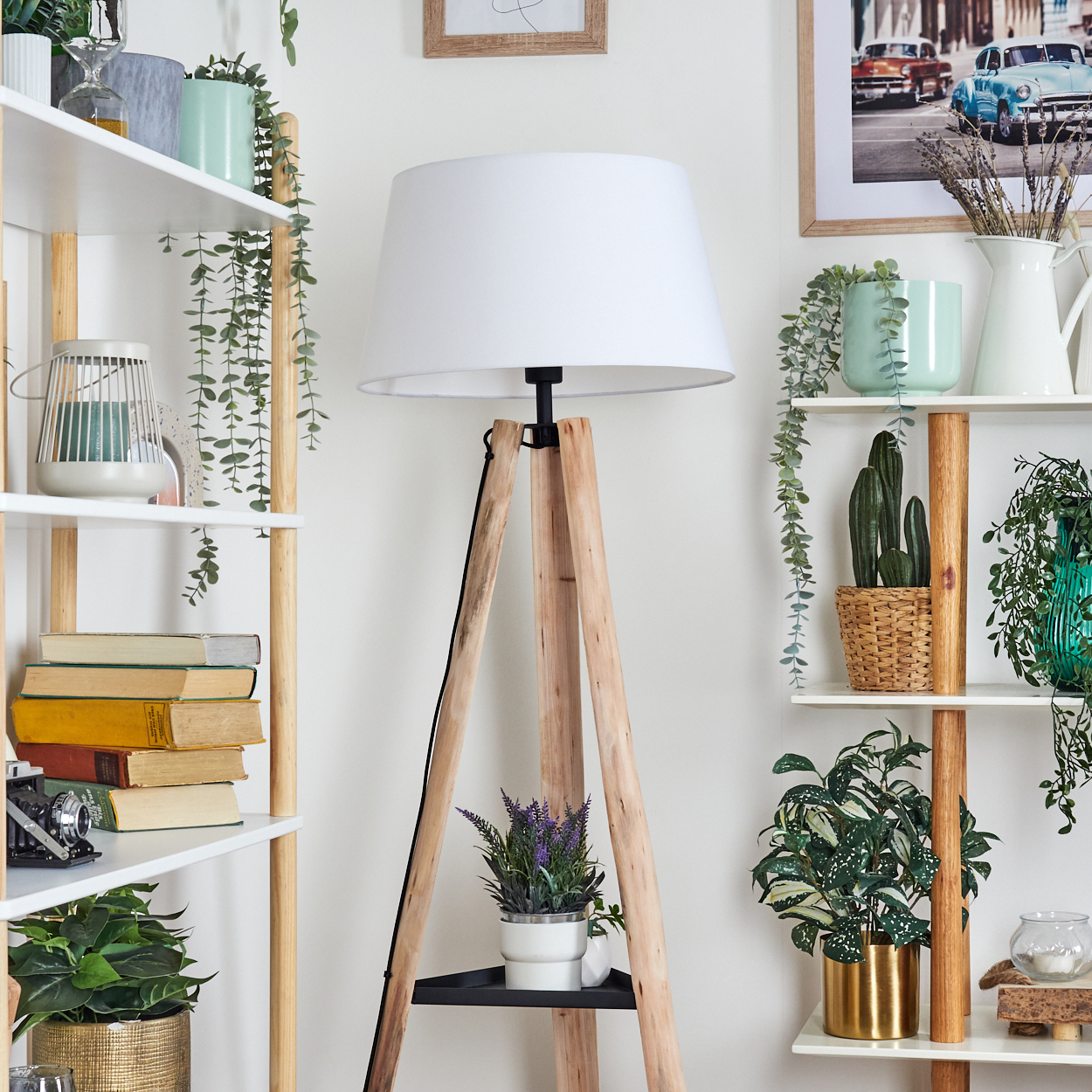 Ein Raum mit Regalen und einer Holzlampe. Die Regale enthalten Pflanzen, Bücher und Dekorationen. Ein gerahmtes Bild hängt an der Wand.