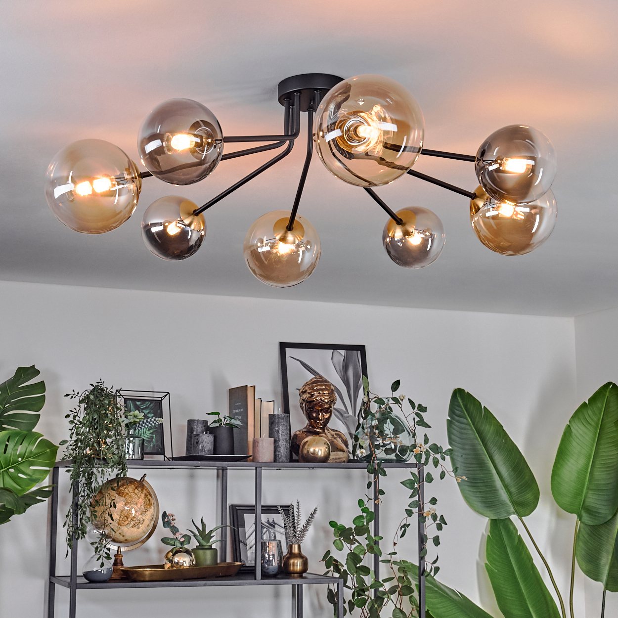 Eine moderne Deckenlampe mit Glaskugeln beleuchtet einen Raum mit einem Regal voller Deko und Pflanzen.