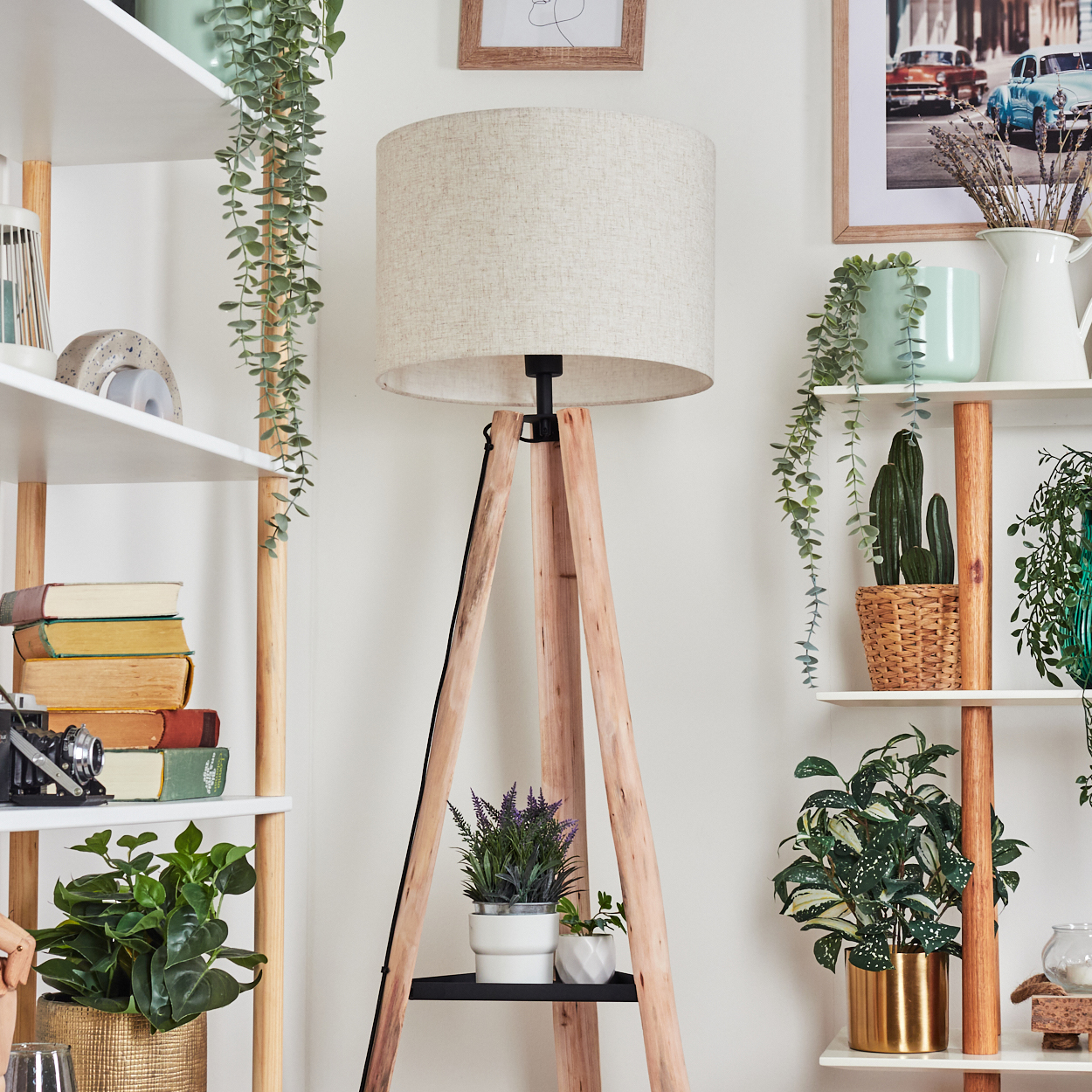 Ein Raum mit Regalen, Pflanzen, Büchern und einer Stehlampe. Ein Bild von Autos hängt an der Wand.