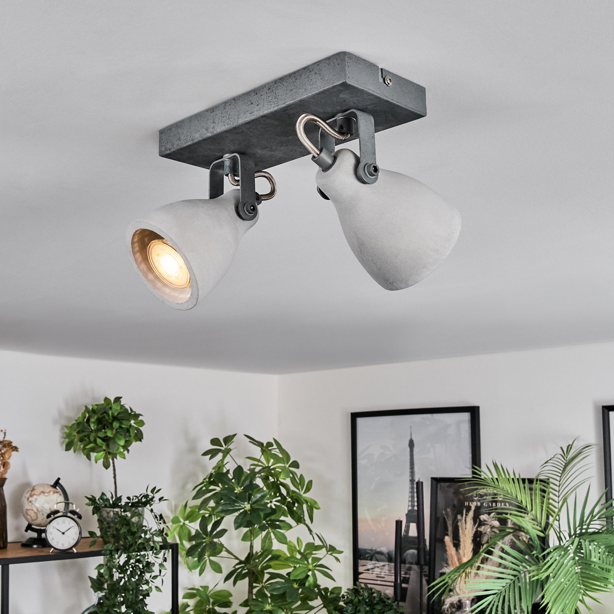 Deckenstrahler mit zwei Lampen. Pflanzen im Vorder- und Hintergrund. Bilder an der Wand. Licht in einer Lampe an.