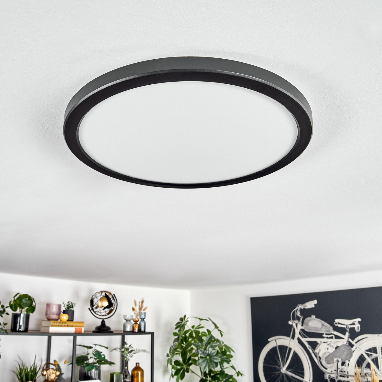 Eine runde, schwarz umrandete Deckenleuchte beleuchtet einen Raum mit Dekoration, darunter Pflanzen, Regale und ein Fahrradkunstdruck an der Wand.