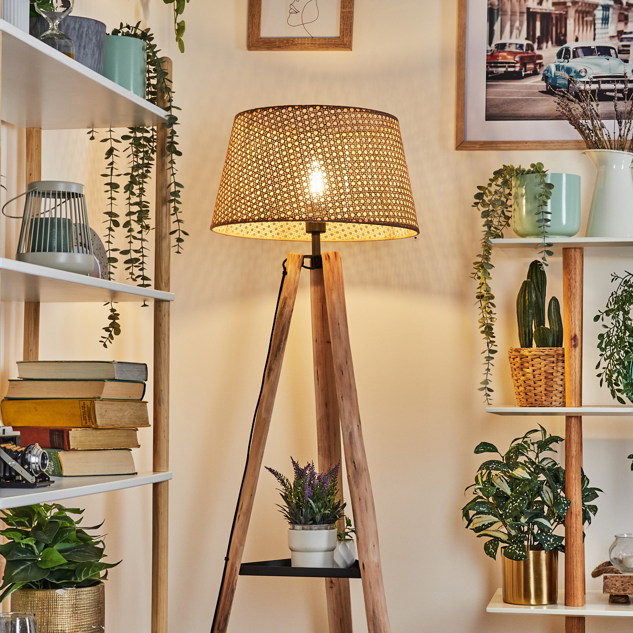 Ein Raum mit einer Holzlampe, Regalen mit Pflanzen, Büchern und einem Bild von Autos an der Wand.
