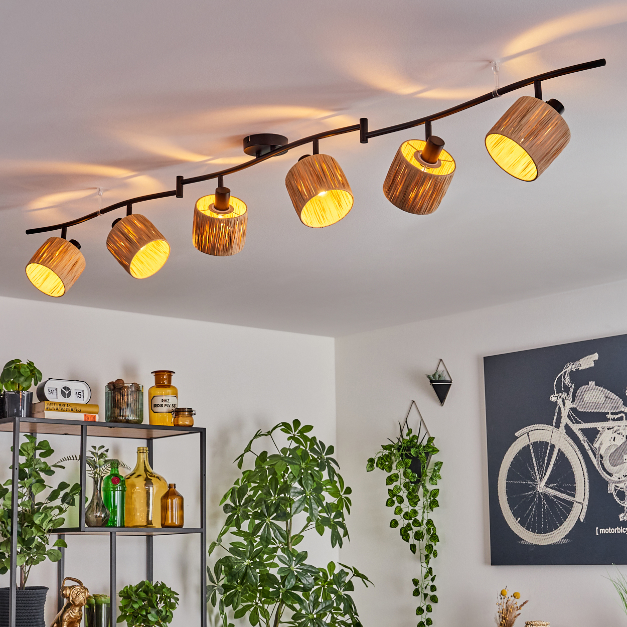 Eine Deckenleuchte mit sechs Lampen. Darunter ein Regal mit Pflanzen und Flaschen. Rechts ein gerahmtes Fahrradkunstwerk.