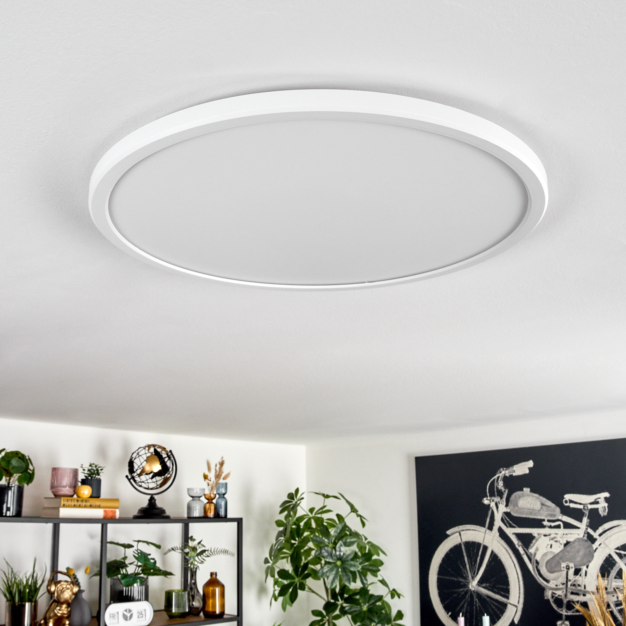 Eine weiße Deckenlampe ist der Mittelpunkt. Darunter befinden sich Pflanzen und Dekorationsartikel und ein Fahrradbild.
