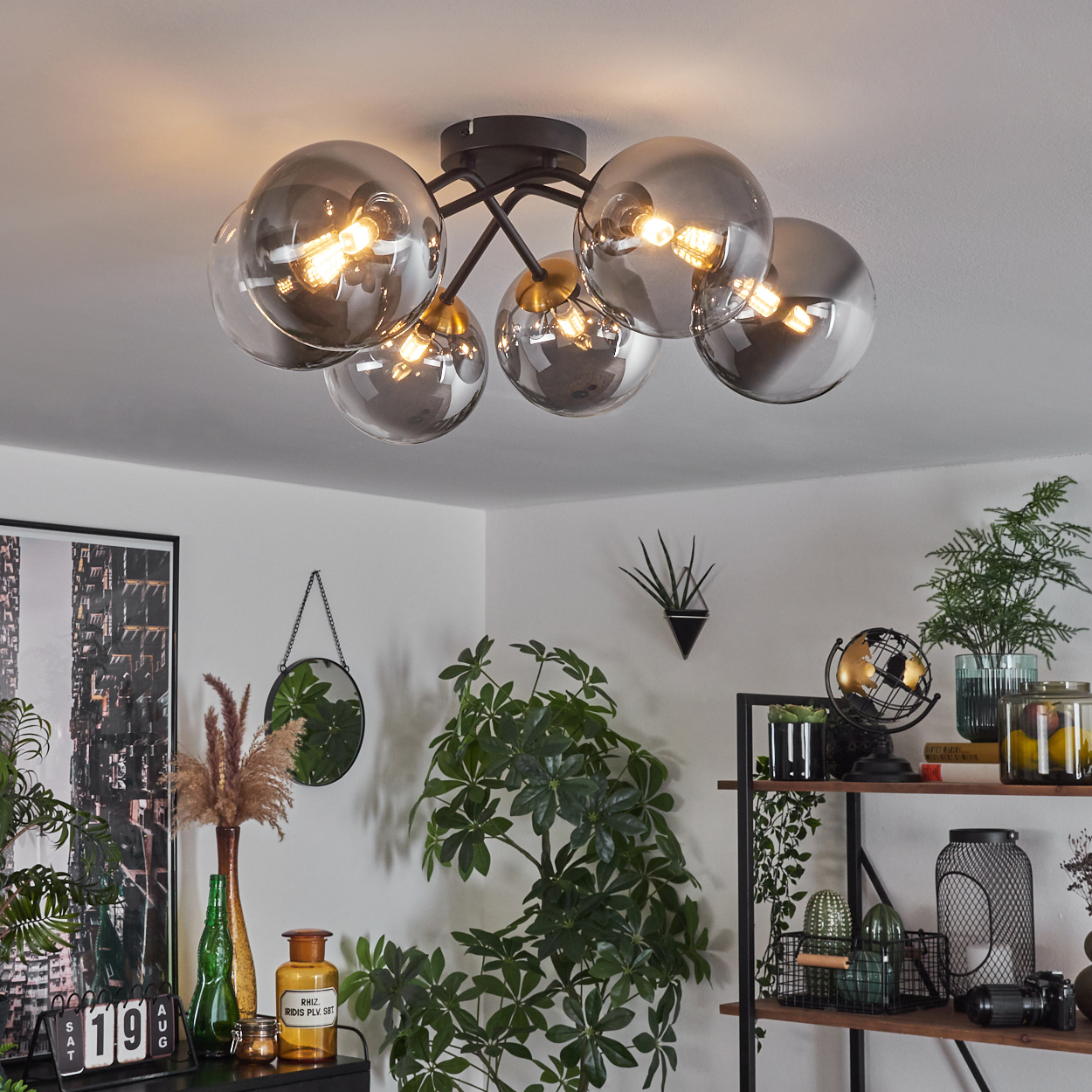 Eine moderne Deckenleuchte mit kugelförmigen Glasschirmen. Der Raum hat Pflanzen, einen Spiegel und Regale mit Dekorationsartikeln.