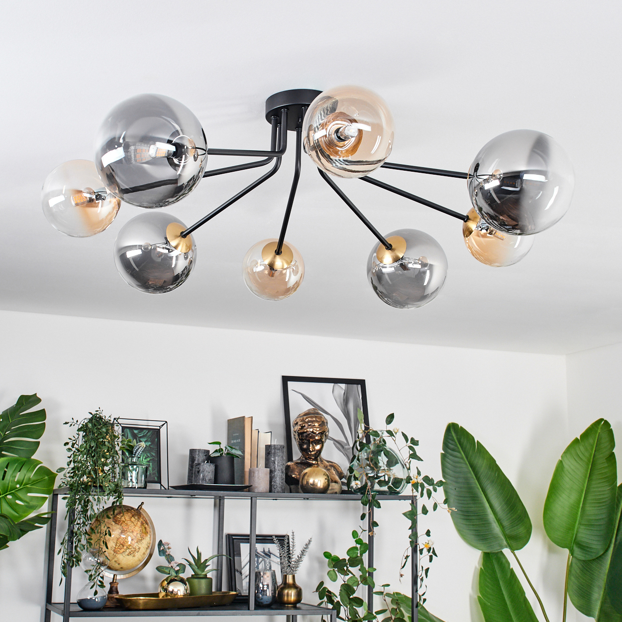 Eine moderne Deckenleuchte mit Glaskugeln hängt über einem Regal mit Pflanzen, einem Globus und Dekorationsartikeln. Weiße Wände.