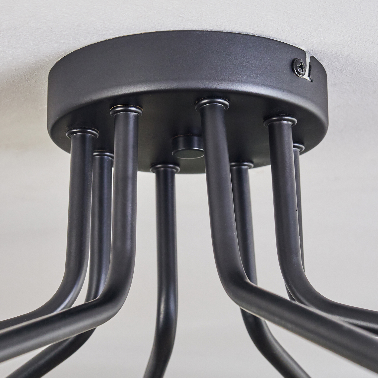Nahaufnahme einer schwarzen Deckenleuchte. Gebogene schwarze Metallarme erstrecken sich von einem zentralen kreisförmigen Sockel.