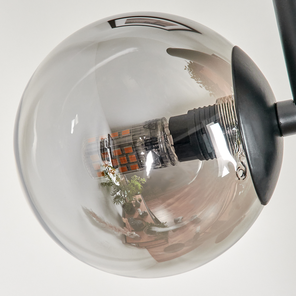 Nahaufnahme einer runden, transparenten Glühbirne mit schwarzem Sockel. Im Inneren spiegeln sich eine kleine Pflanze und ein Holztisch.