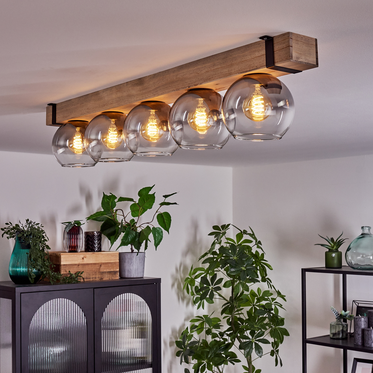 Deckenleuchte mit fünf Glaskugelschirmen. Pflanzen stehen auf einem dunklen Schrank und einem schwarzen Metallregal. Weiße Wände.