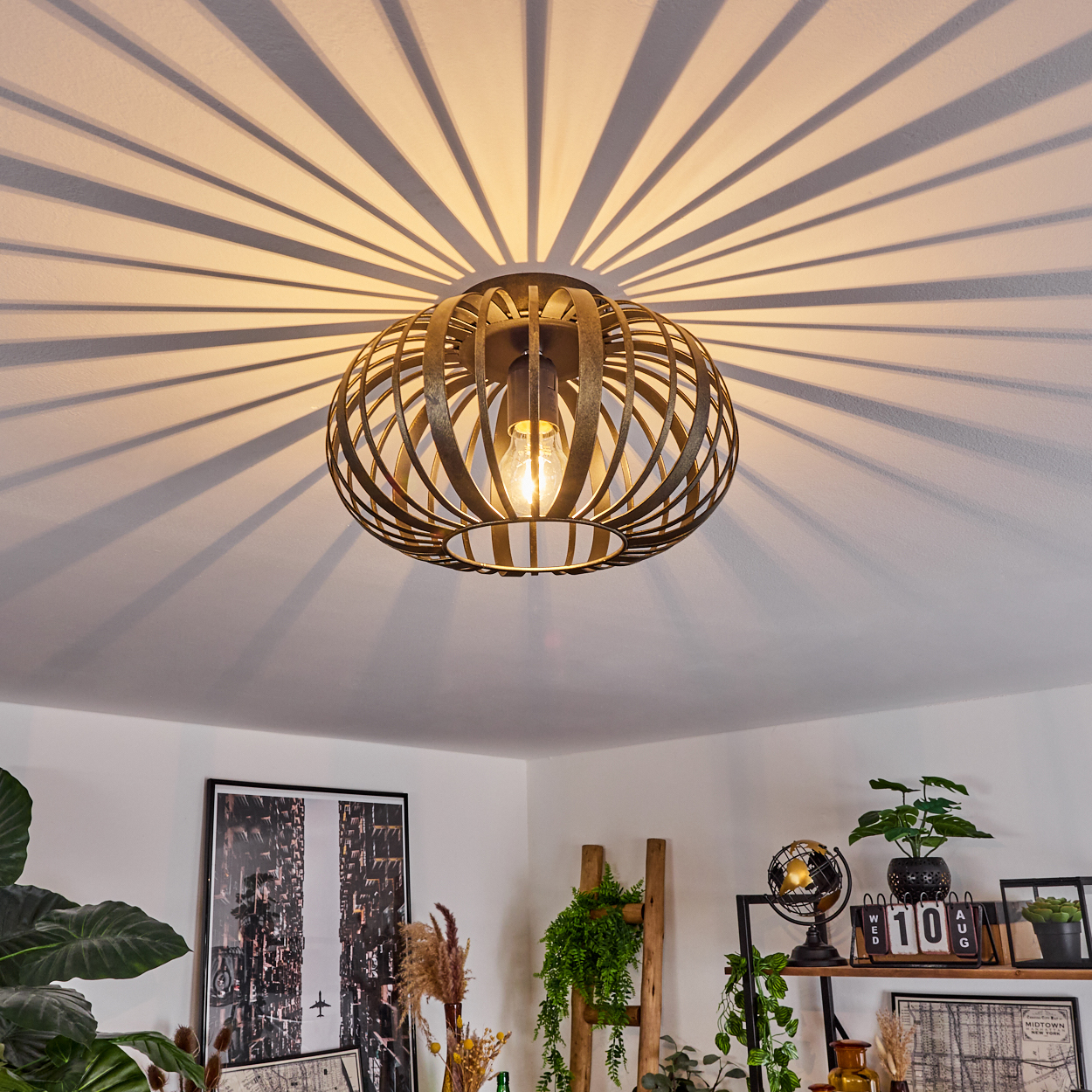 Eine Deckenlampe wirft radiale Schatten. Die Lampe hat ein Käfigdesign. Raumecke mit Pflanzen, Bildern und Regal.