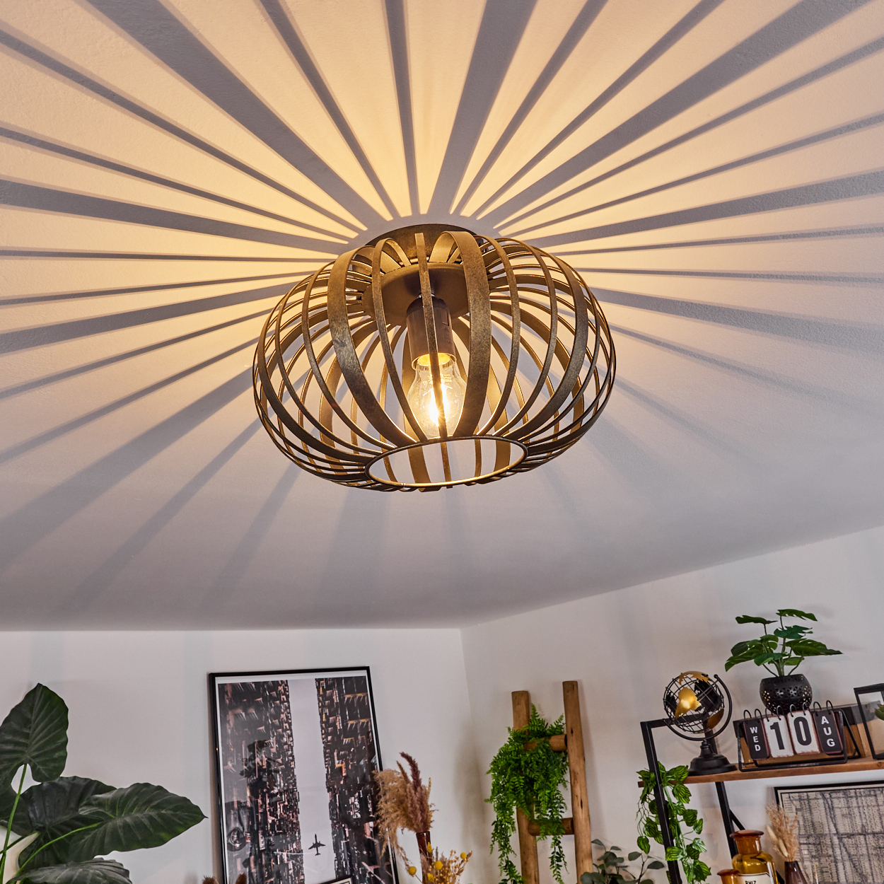 Eine Deckenlampe wirft Licht und Schatten. Darunter sind Pflanzen, ein gerahmtes Bild und ein Regal mit Dekorationen zu sehen.