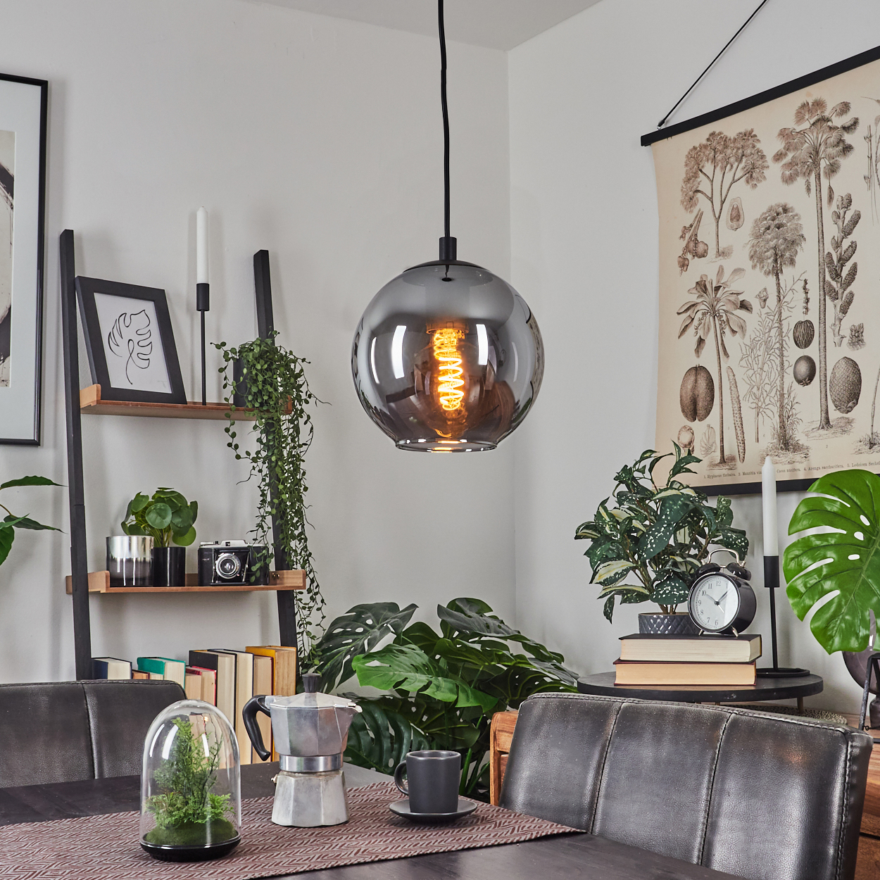 Ein Raum mit einer runden Hängelampe, Pflanzen, einer Kaffeekanne und Büchern. An der Wand hängt ein Poster mit Pflanzen.