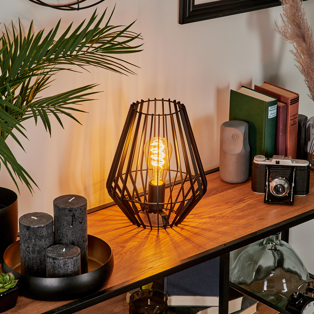 Eine beleuchtete Lampe mit Käfigdesign steht auf einem Holzregal. Bücher, eine Kamera und Kerzen befinden sich ebenfalls auf dem Regal. Palmfarn und Deko im Hintergrund.