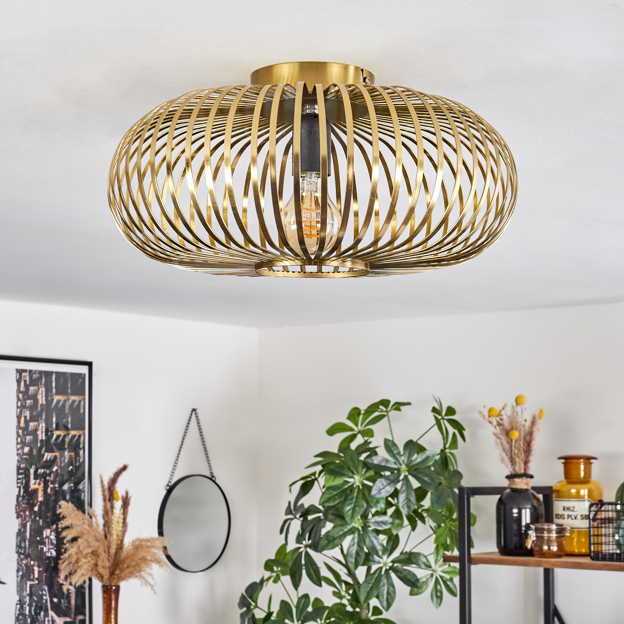 Eine goldene, käfigartige Deckenlampe mit sichtbarer Glühbirne hängt über Pflanzen, einem Spiegel und dekorativen Gegenständen.