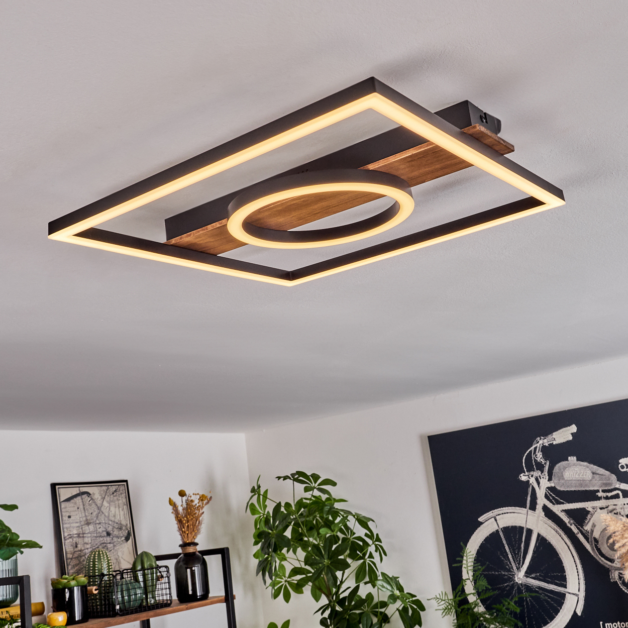 Eine moderne Deckenleuchte mit rechteckigem Rahmen und rundem Innenlicht. Pflanzen und Kunstwerke sind unten sichtbar.