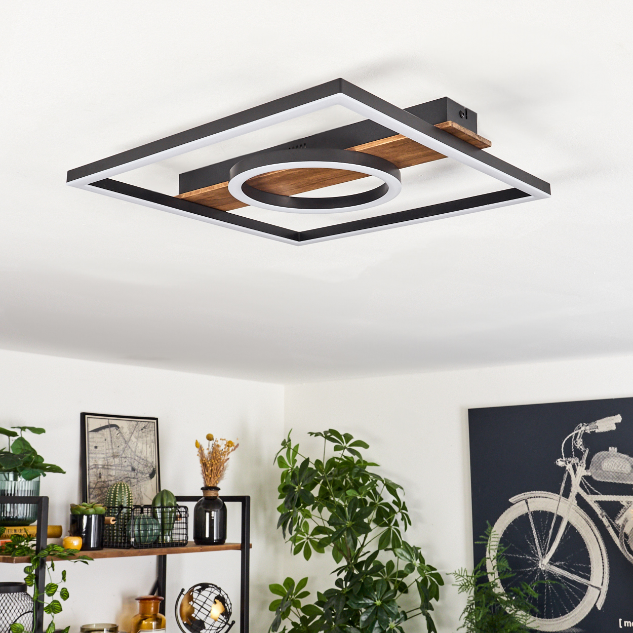 Moderne Deckenlampe mit quadratischem Rahmen und kreisförmigem Licht. Darunter Pflanzen und ein Fahrradposter.