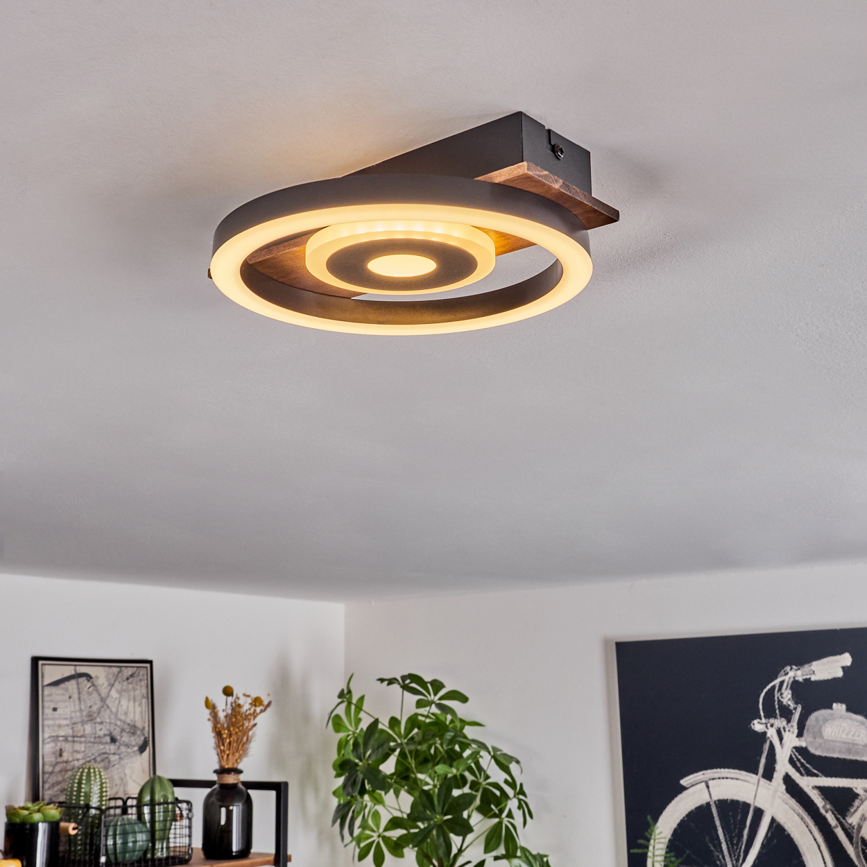 Moderne Deckenleuchte mit kreisförmigem Design. Darunter ist ein Regal mit Dekoration und Pflanzen zu sehen. Im Hintergrund ist ein Raum mit Kunst zu sehen.