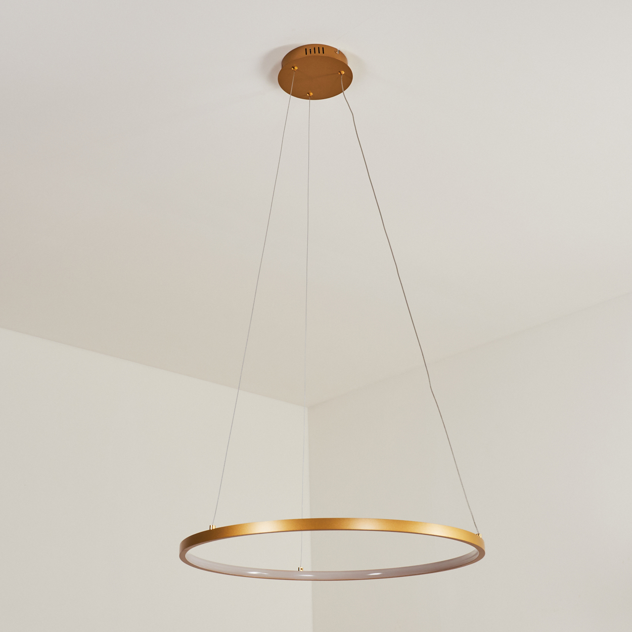 Eine moderne, goldfarbene, ringförmige Hängeleuchte hängt von der Decke. Die Leuchte wird von dünnen Drähten gehalten. Der Hintergrund ist weiß.