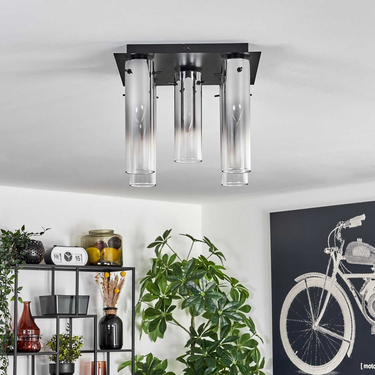 Eine Deckenleuchte mit drei Glasschirmen hängt über einem Raum. Darunter sind Regale mit Pflanzen, Dekor und einem Fahrradkunstwerk zu sehen.