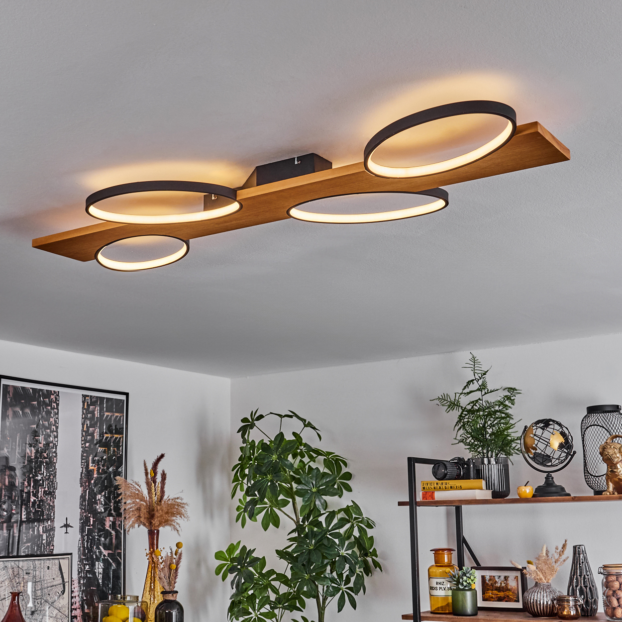 Eine moderne Deckenleuchte mit vier kreisförmigen Lichtern. Der Raum hat Pflanzen, Regale mit Dekoration und gerahmte Kunst an der Wand.