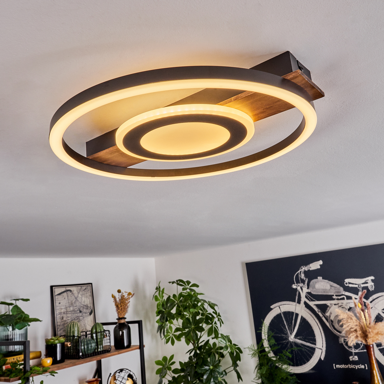 Moderne Deckenleuchte mit drei kreisförmigen Lichtern. Unten sind Pflanzen und ein Gemälde eines Fahrrads zu sehen.