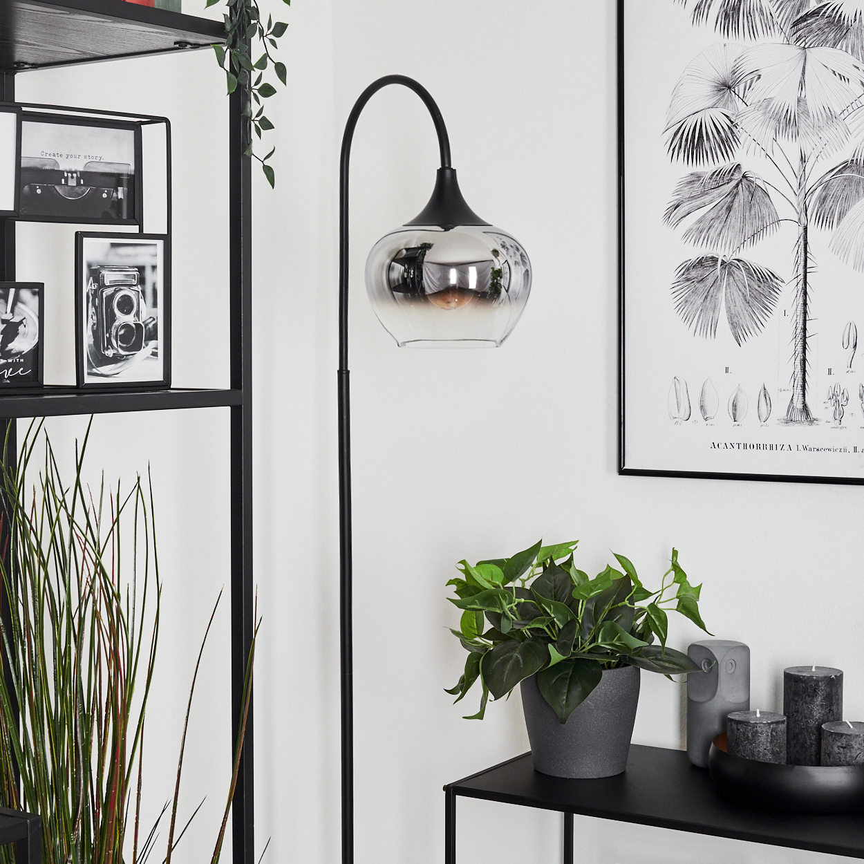 Eine Innenszene zeigt eine schwarze Lampe, eine Pflanze und ein schwarz-weiß gerahmtes Bild eines Palmenbaums.